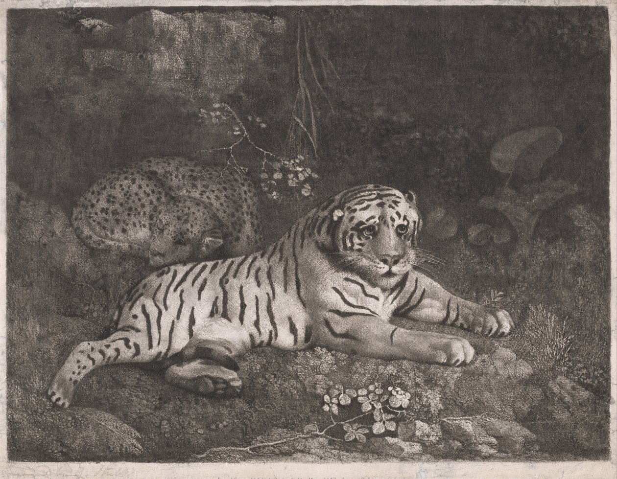 A Tiger and a Sleeping Leopard by George Stubbs