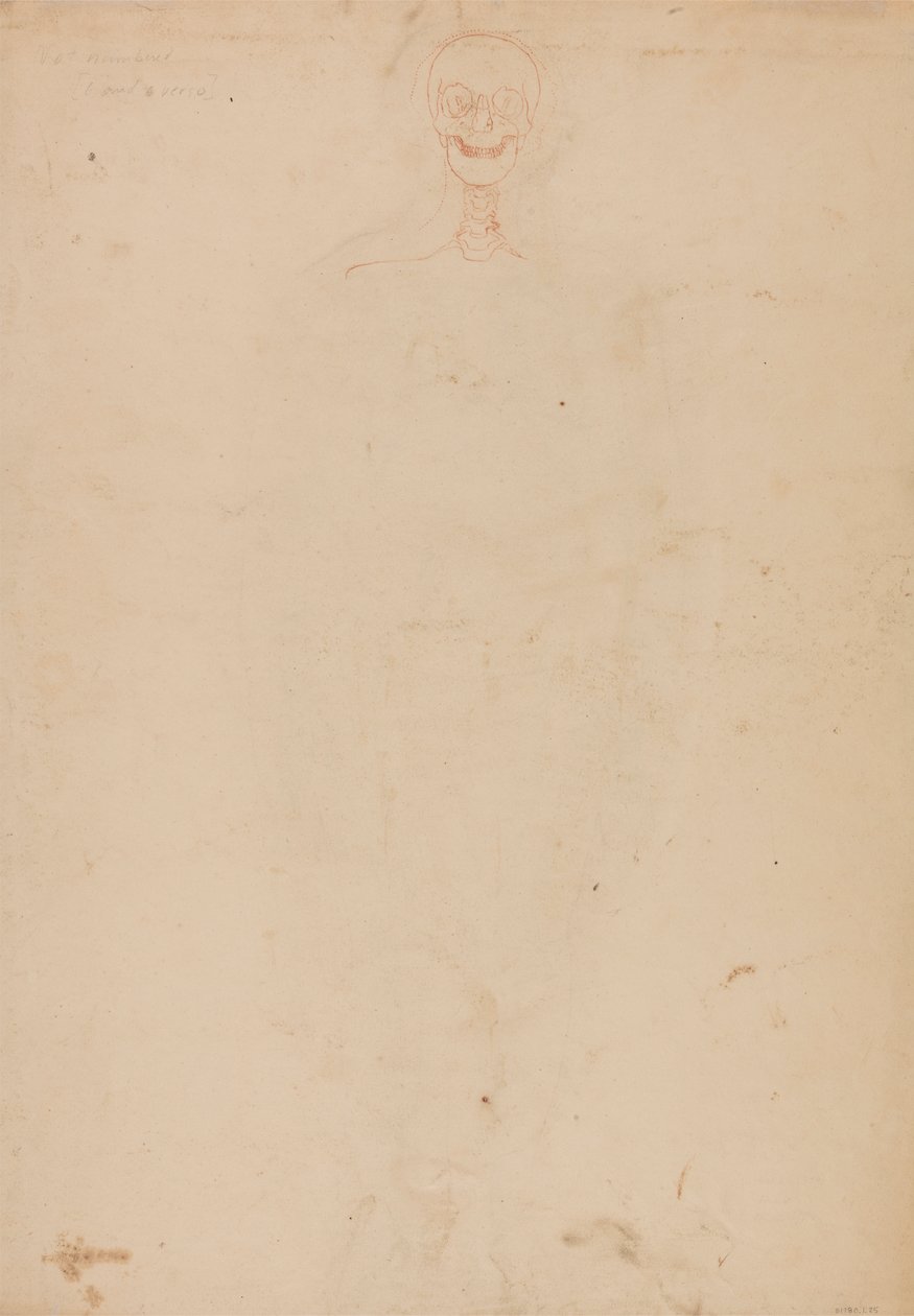 Human Skeleton, Anterior View by George Stubbs
