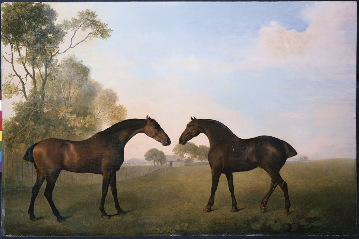 Two Hunters out at Grass by George Stubbs