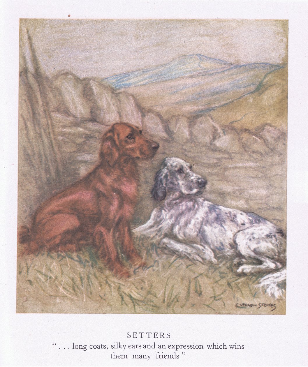 Setters by George Vernon Stokes