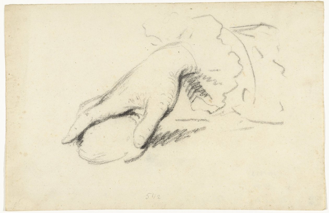Study of a Hand by George van der Mijn