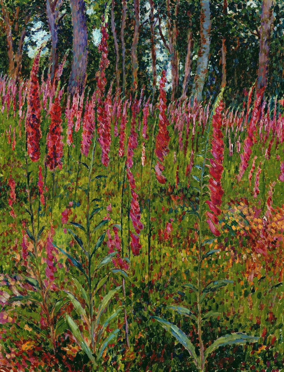 Foxgloves by Georges Lacombe