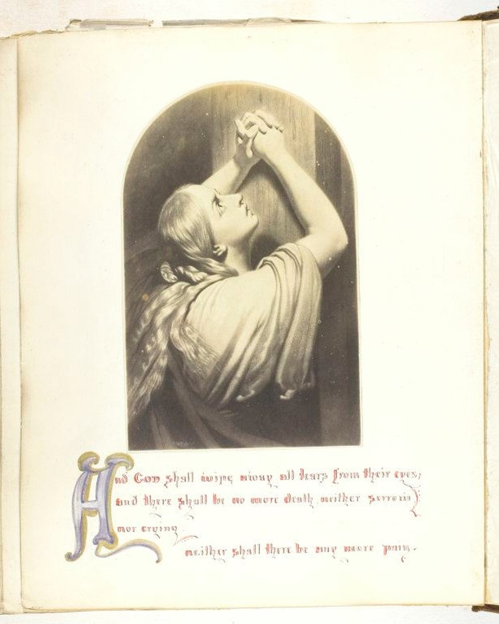 Untitled [illustration with Biblical quote] by Georgina Cowper