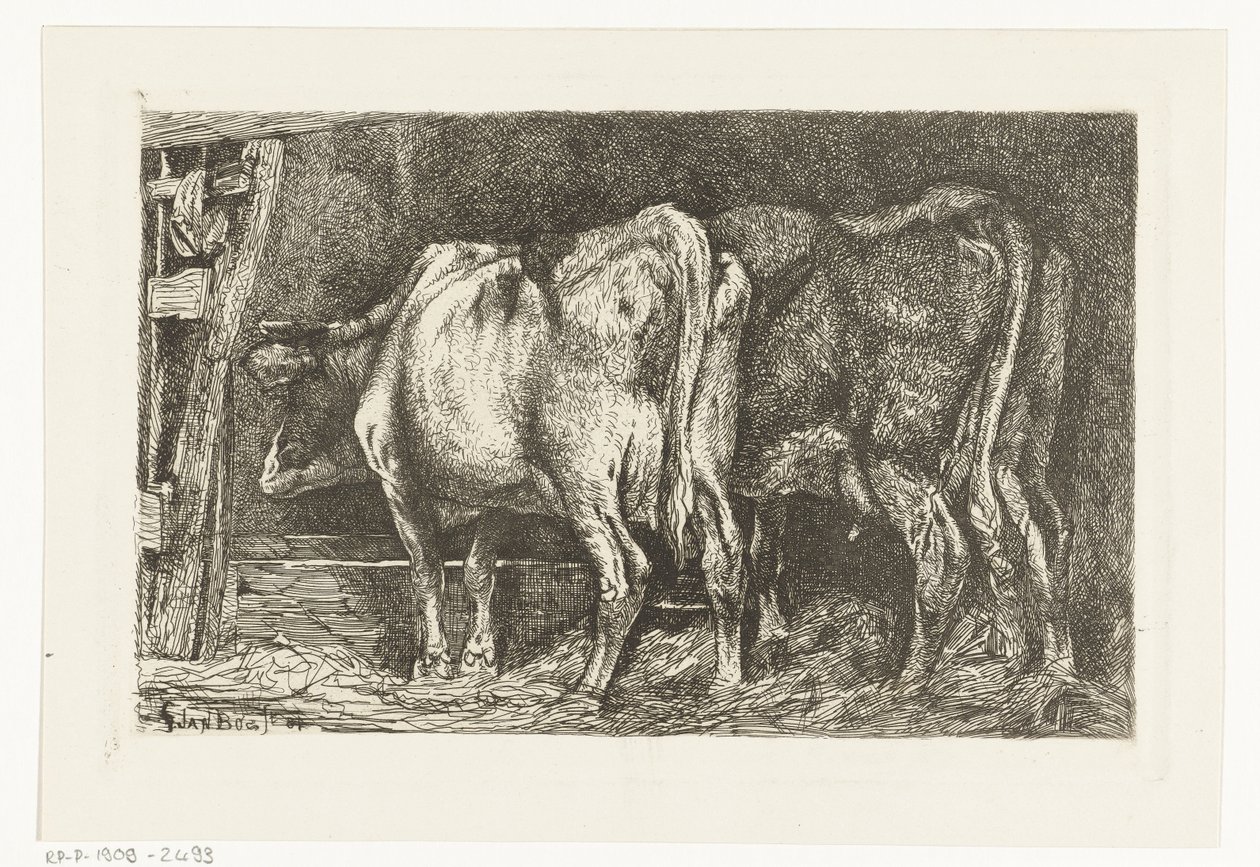 Two Cows at a Feeding Trough by Gerard Jan Bos