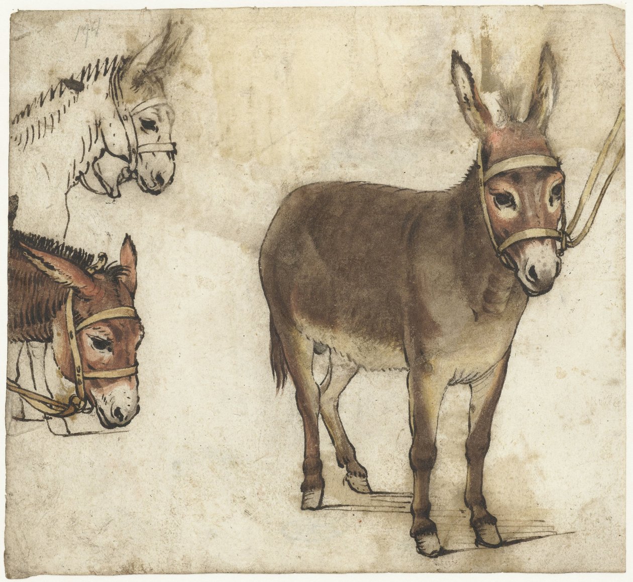 Study Sheet with Donkeys by Gerard ter Borch (I)