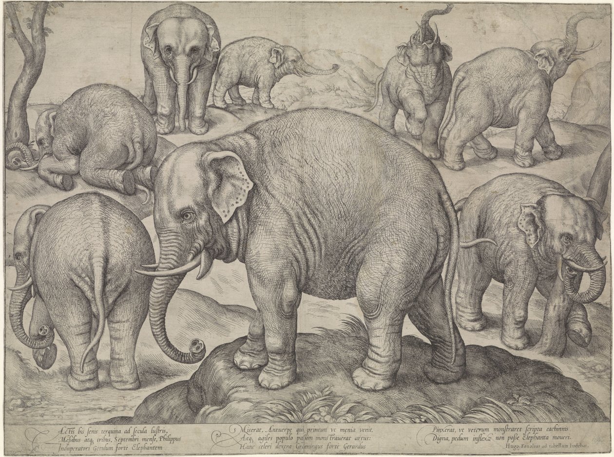 Eight Elephants by Gerard van Groeningen