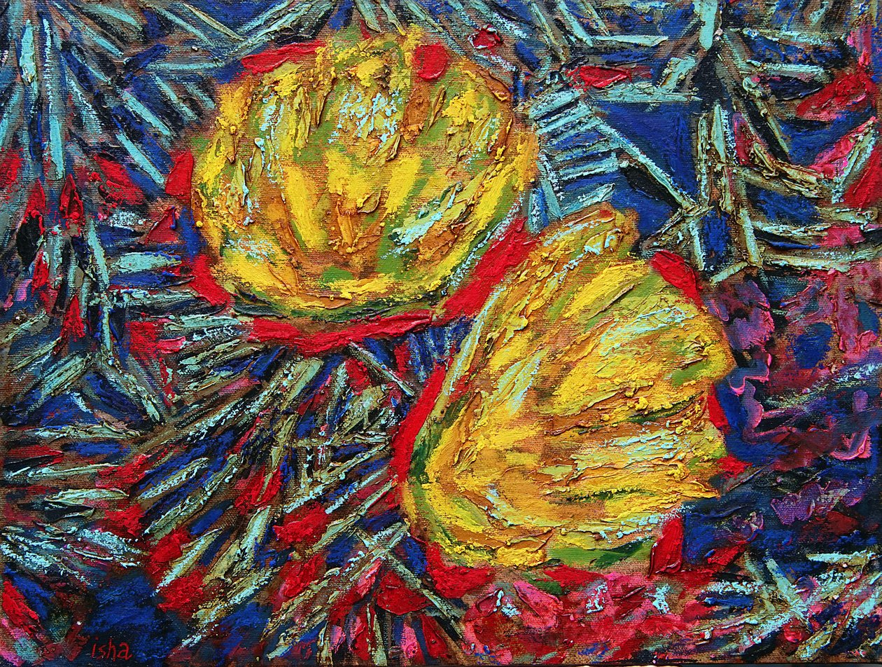 Cactus Flowers by Gerhardt Isringhaus