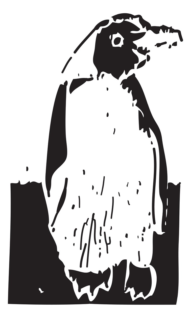 Penguin by Gerhardt Isringhaus