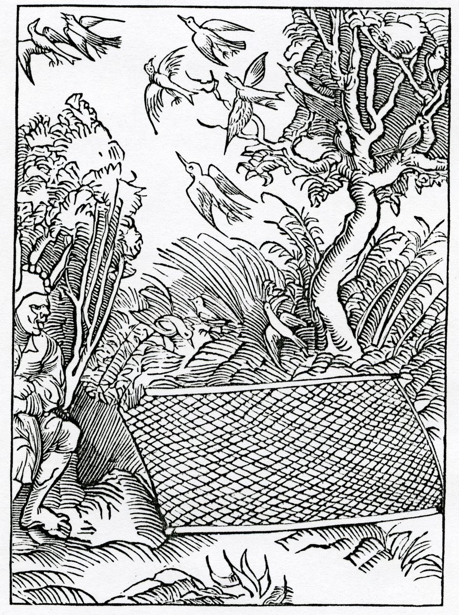 Of ouer open takynges of counsell, illustration from Alexander Barclay