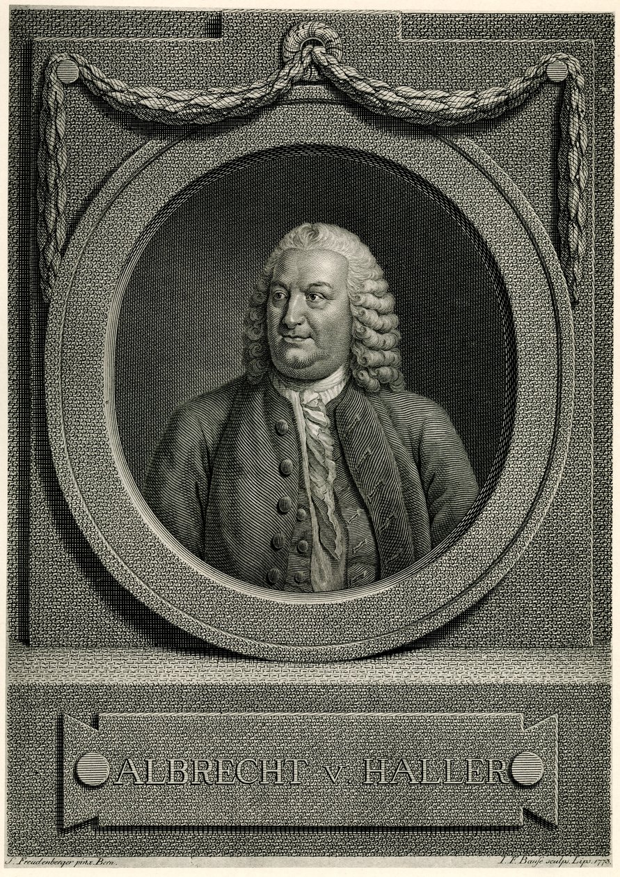 Albrecht von Haller by German School
