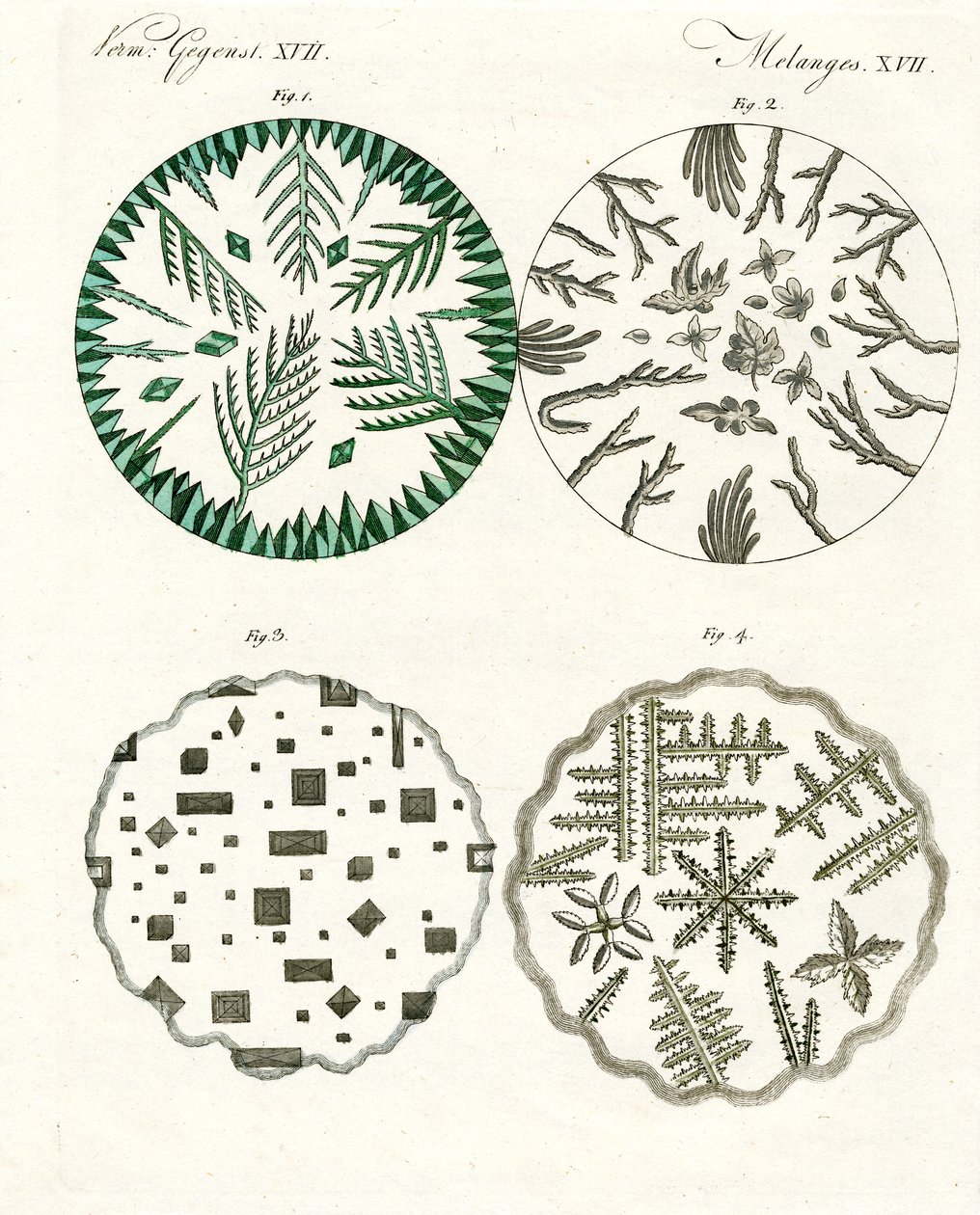All Kinds of Salt Crystals by German School