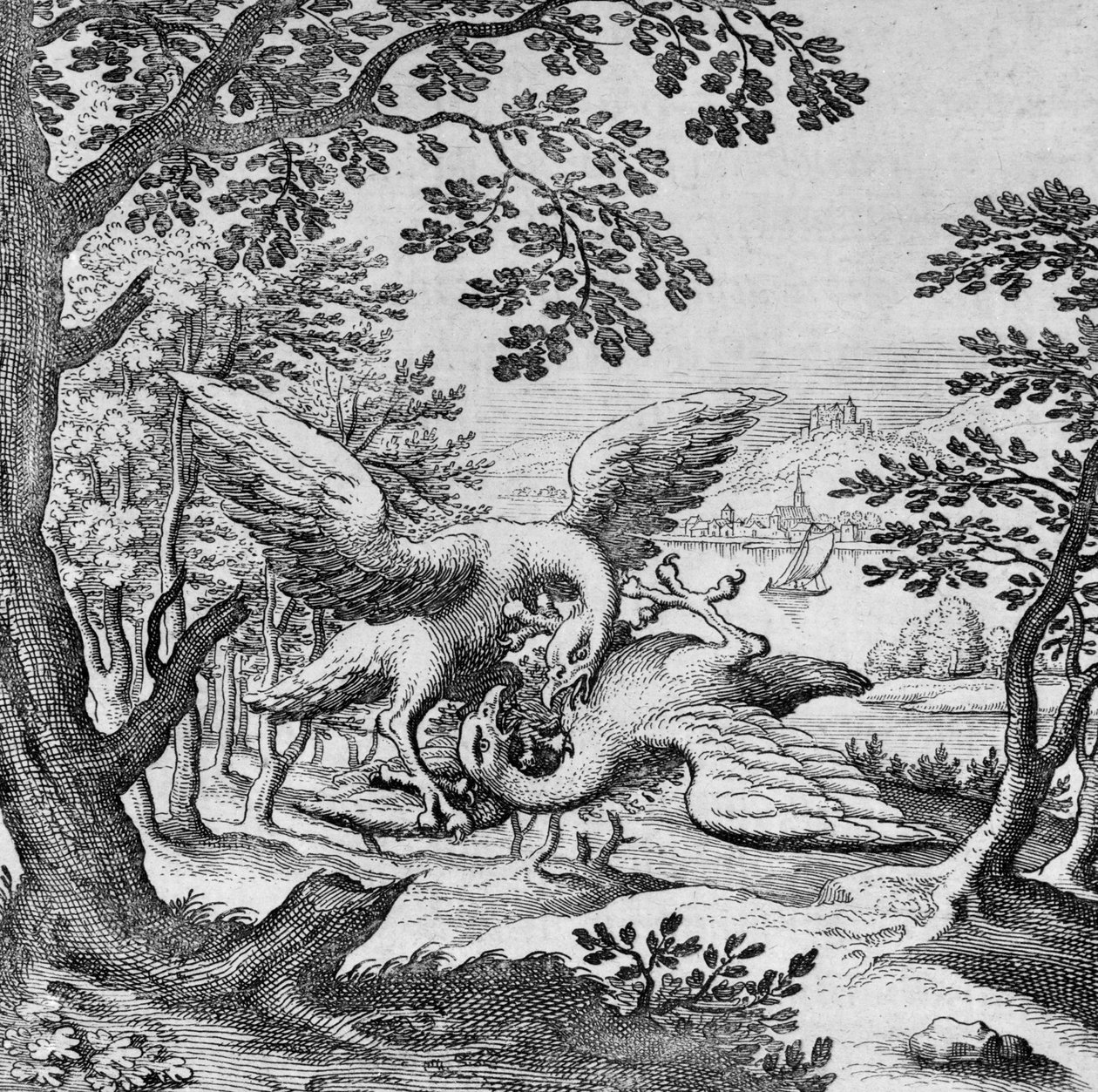 Birds Fighting from Musaeum Hermeticum by German School
