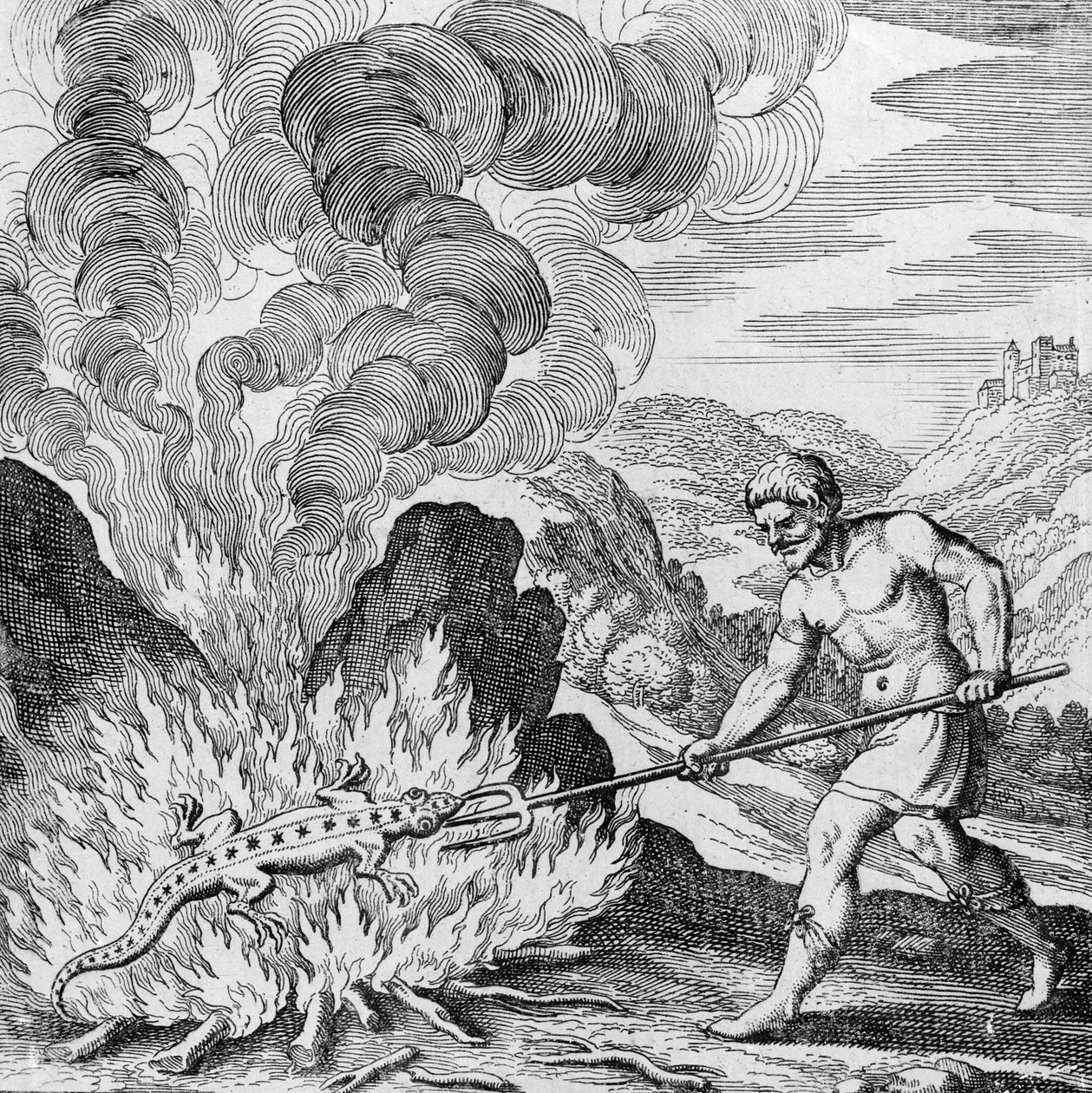 Burning a Salamander from Musaeum Hermeticum by German School