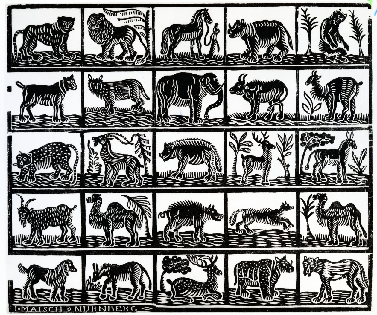 Collection of Animals by German School