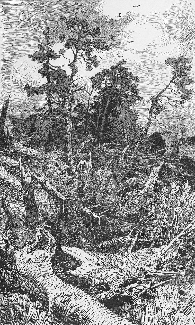Effects of a Hurricane by German School
