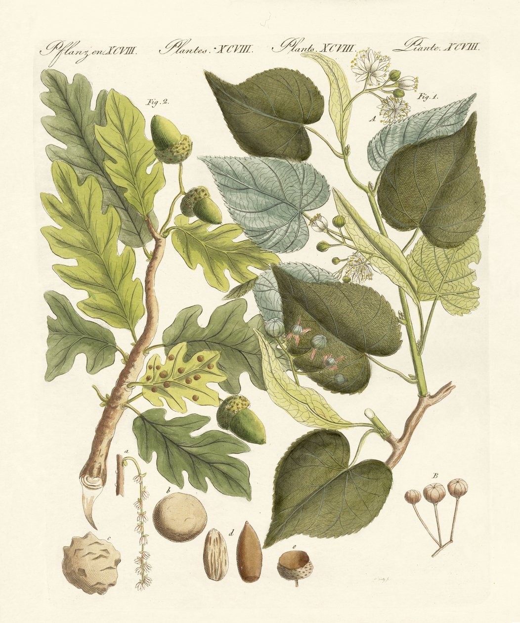 German Woodtrees by German School