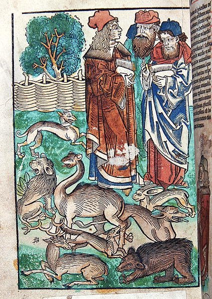 Illustration from Hortus Sanitatis by German School
