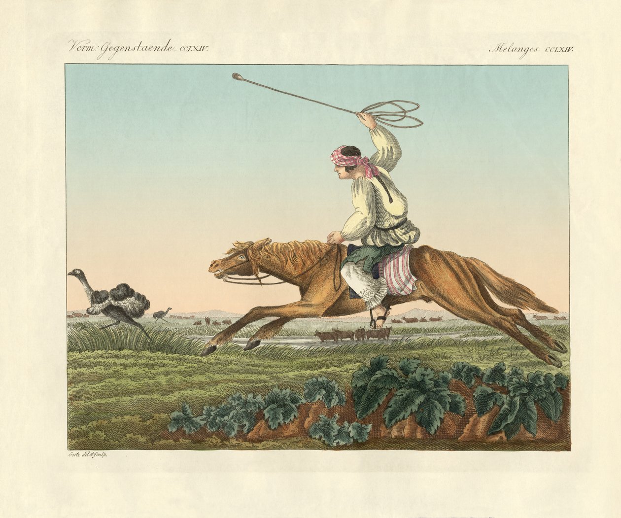 Ostrich Hunting by German School