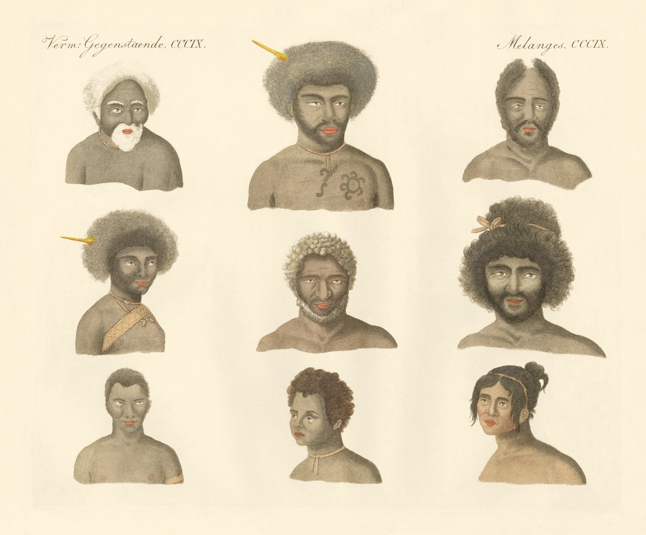 The Papuans by German School