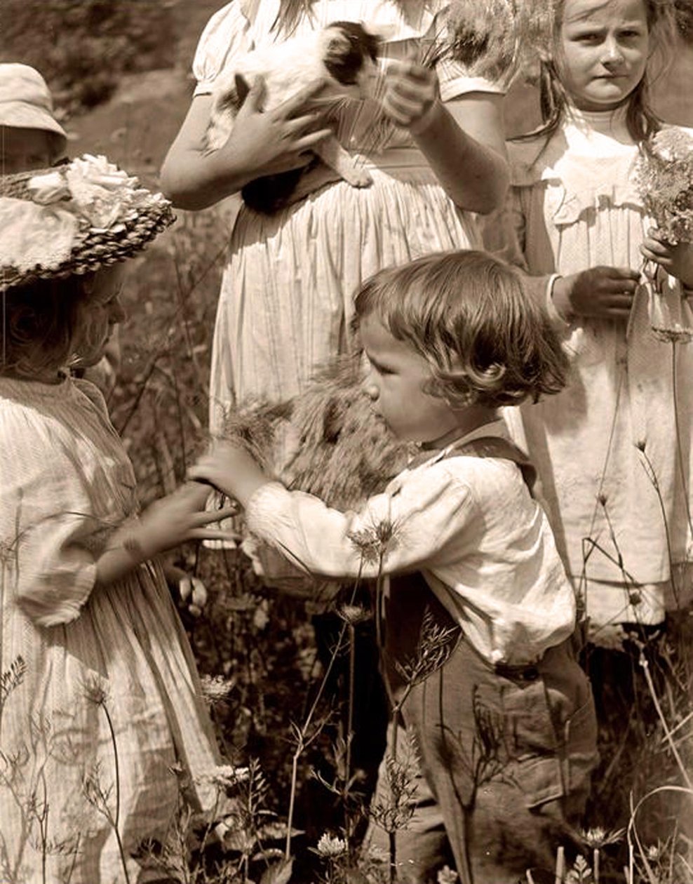 Happy Days by Gertrude Käsebier