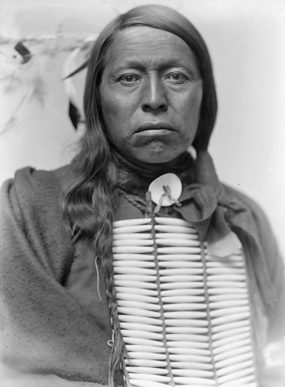 Sioux Chief Flying Hawk, c.1900 by Gertrude Käsebier