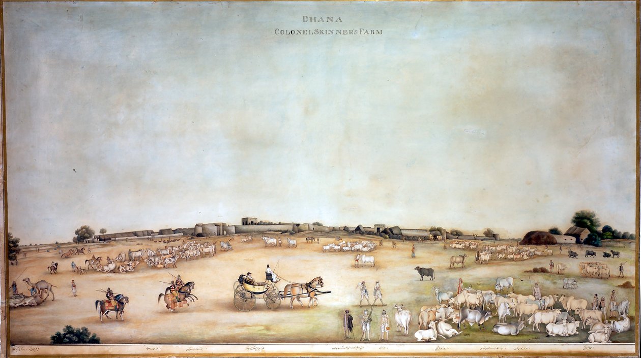 Dhana Colonel Skinner