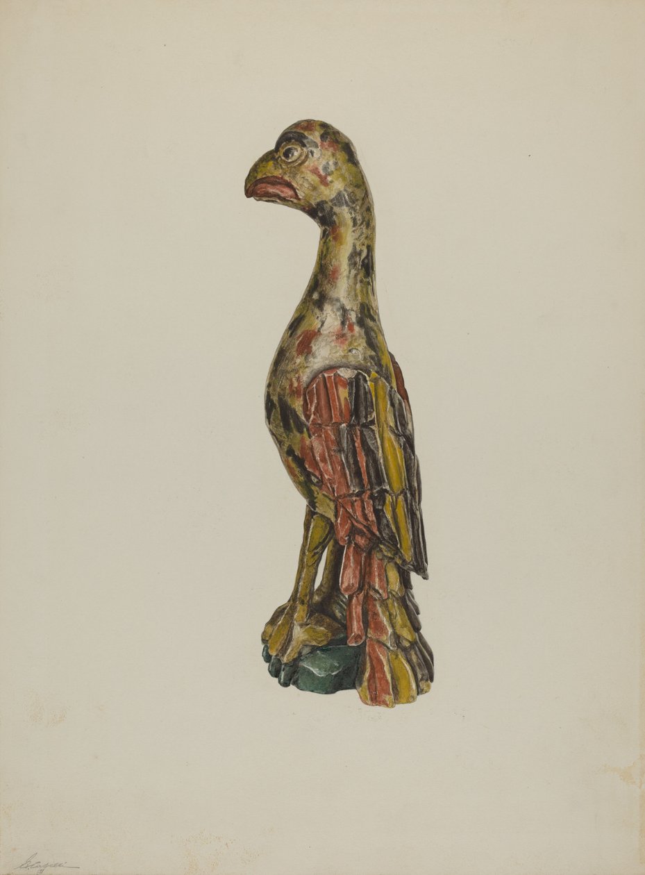 Pa. German Parrot by Giacinto Capelli