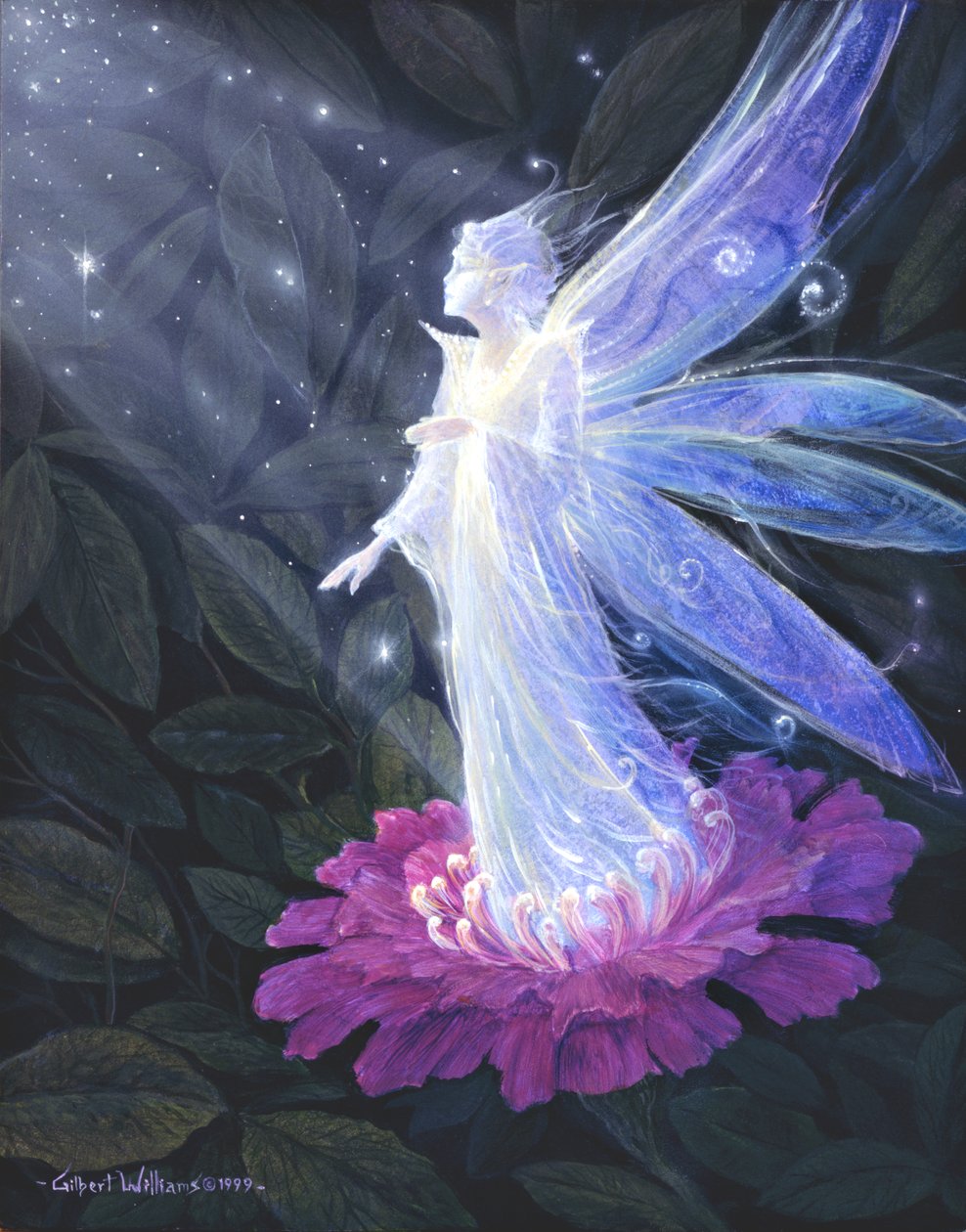 The Hidden Worlds by Gilbert Williams