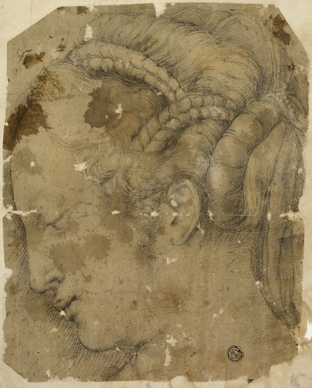 Female Head in Profile to Left by Giorgio Vasari
