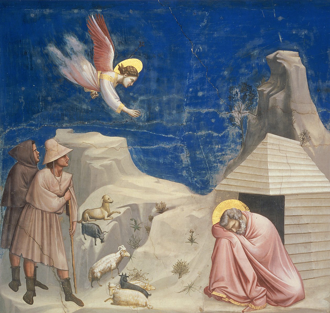 The Dream of Joachim by Giotto di Bondone