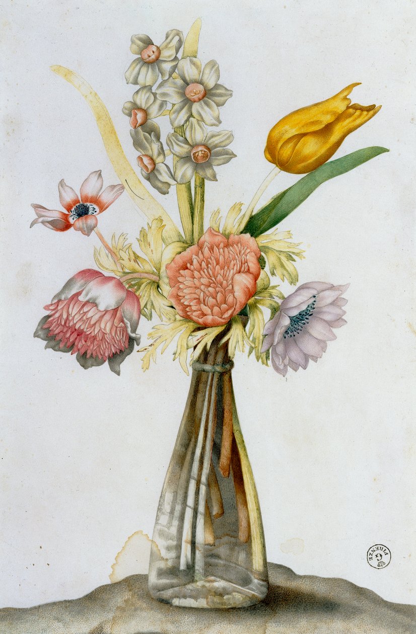 Glass Vase with Anemones, a Narcissus and a Tulip by Giovanna Garzoni