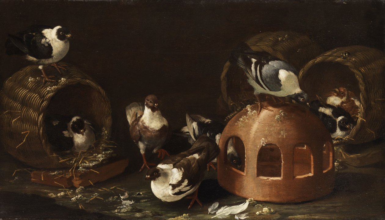 Pigeons Between Feeding Trough and Baskets by Giovanni Agostino Cassana