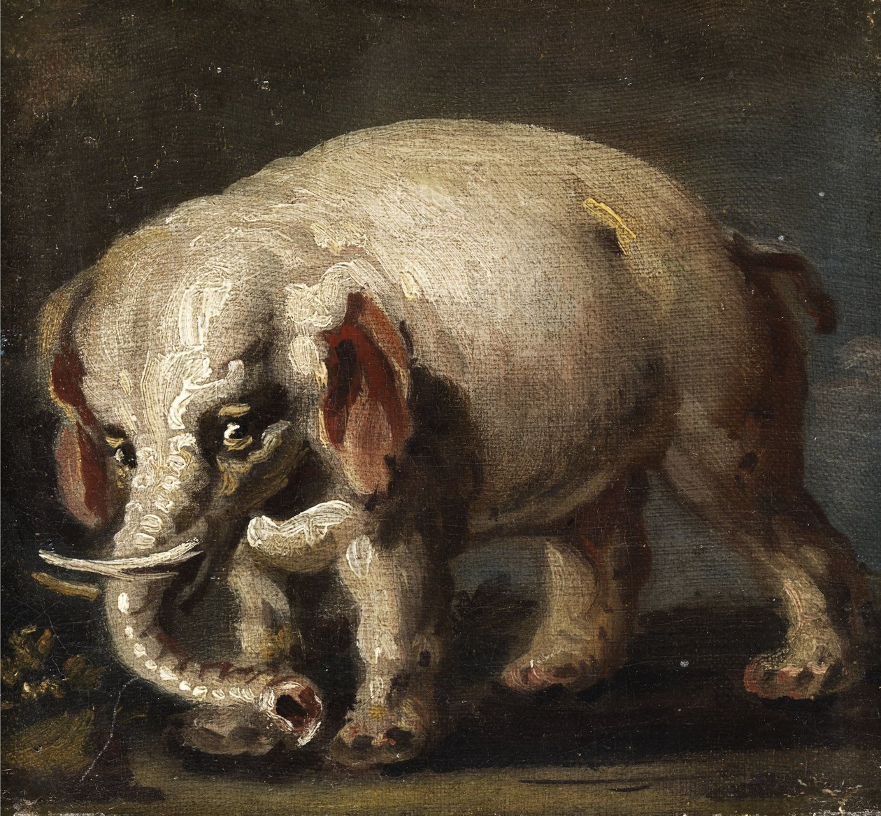 Elephant by Giovanni Antonio Guardi