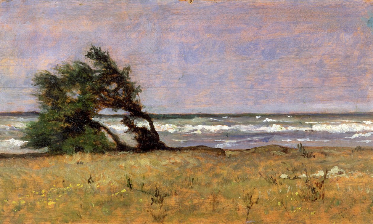Tempest by Giovanni Fattori