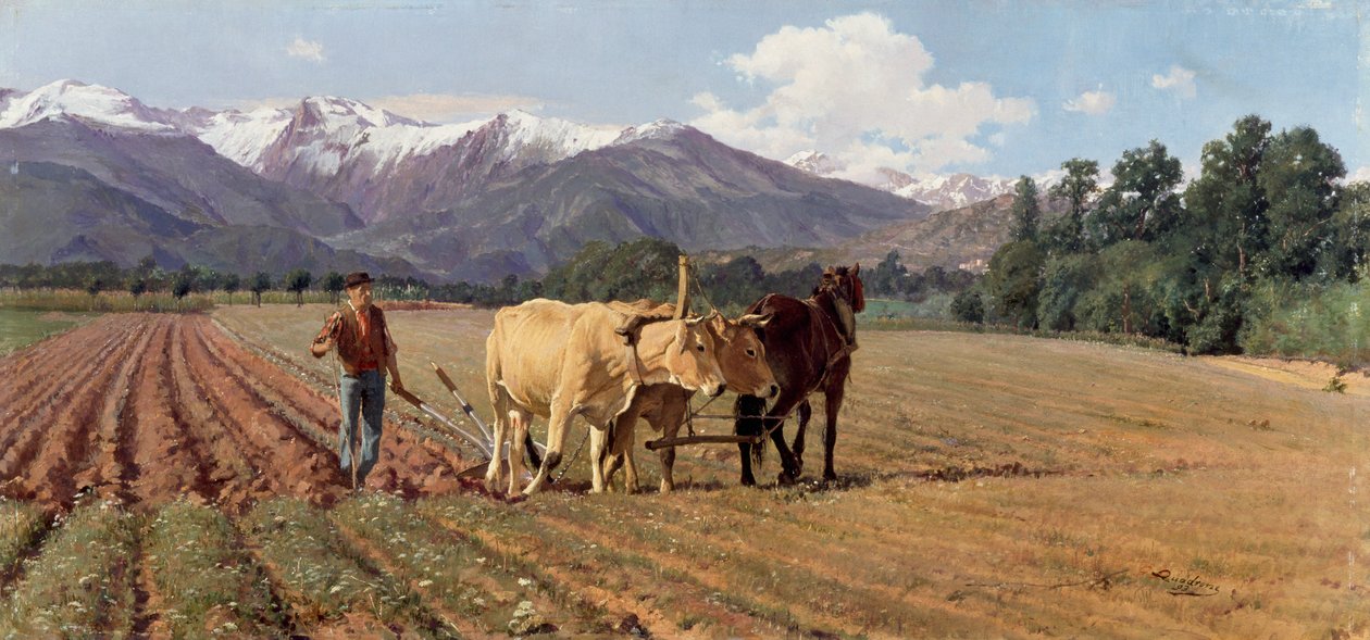 Ploughing by Giovanni Battista Quadrone