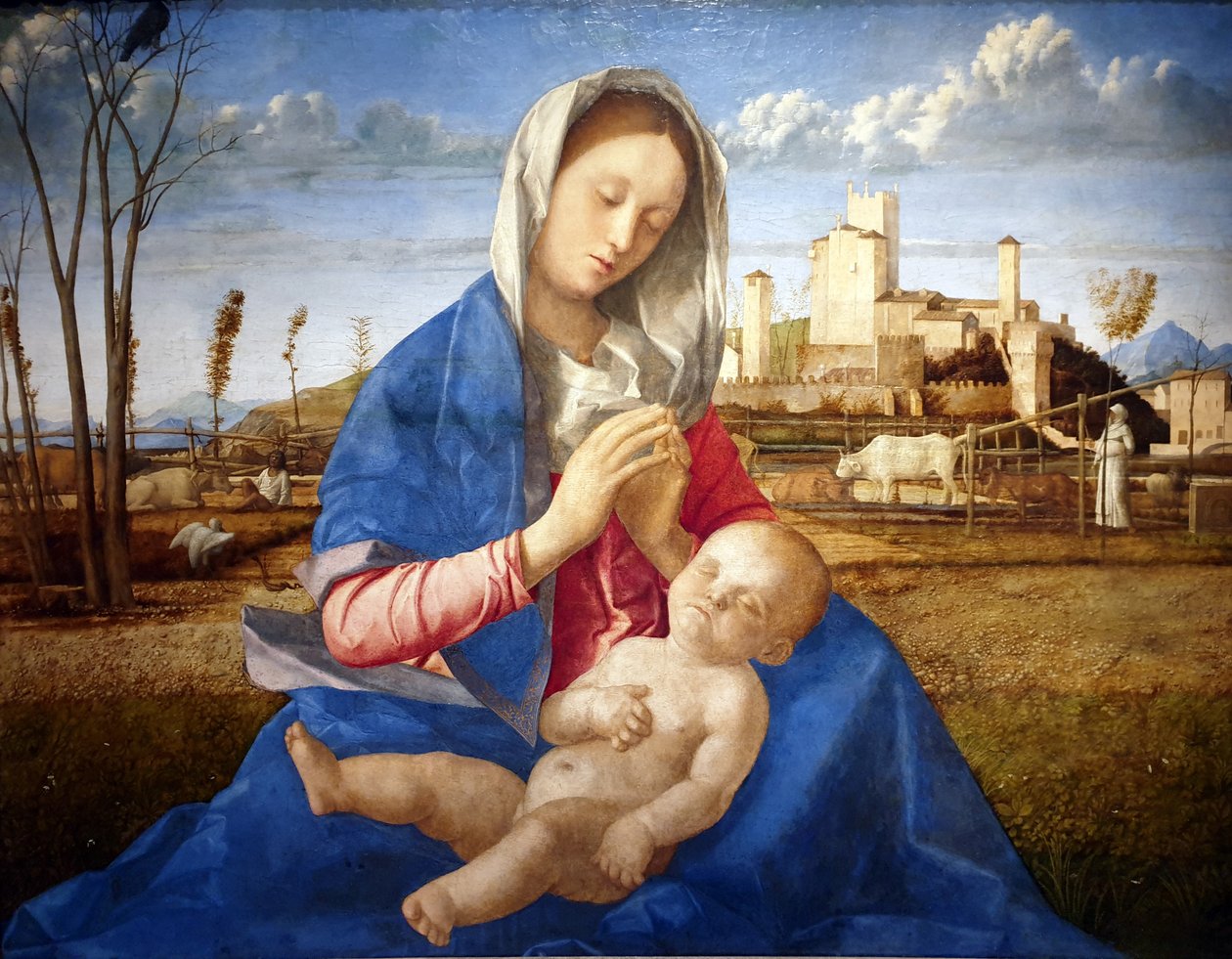 Madonna of the Meadow by Giovanni Bellini
