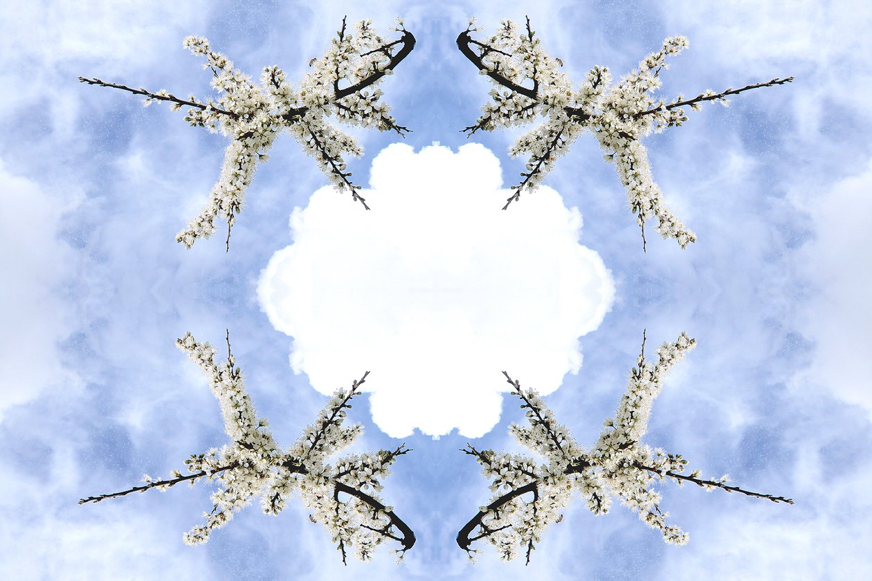 Unnatural 115 by Giovanni Cafagna