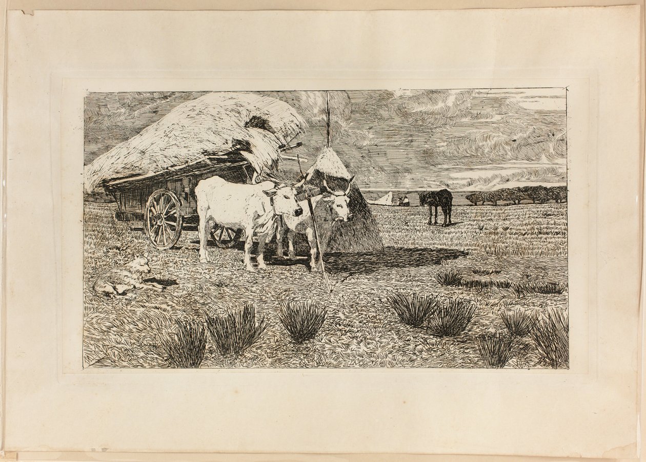 Oxen and Wagon (Maremma) by Giovanni Fattori