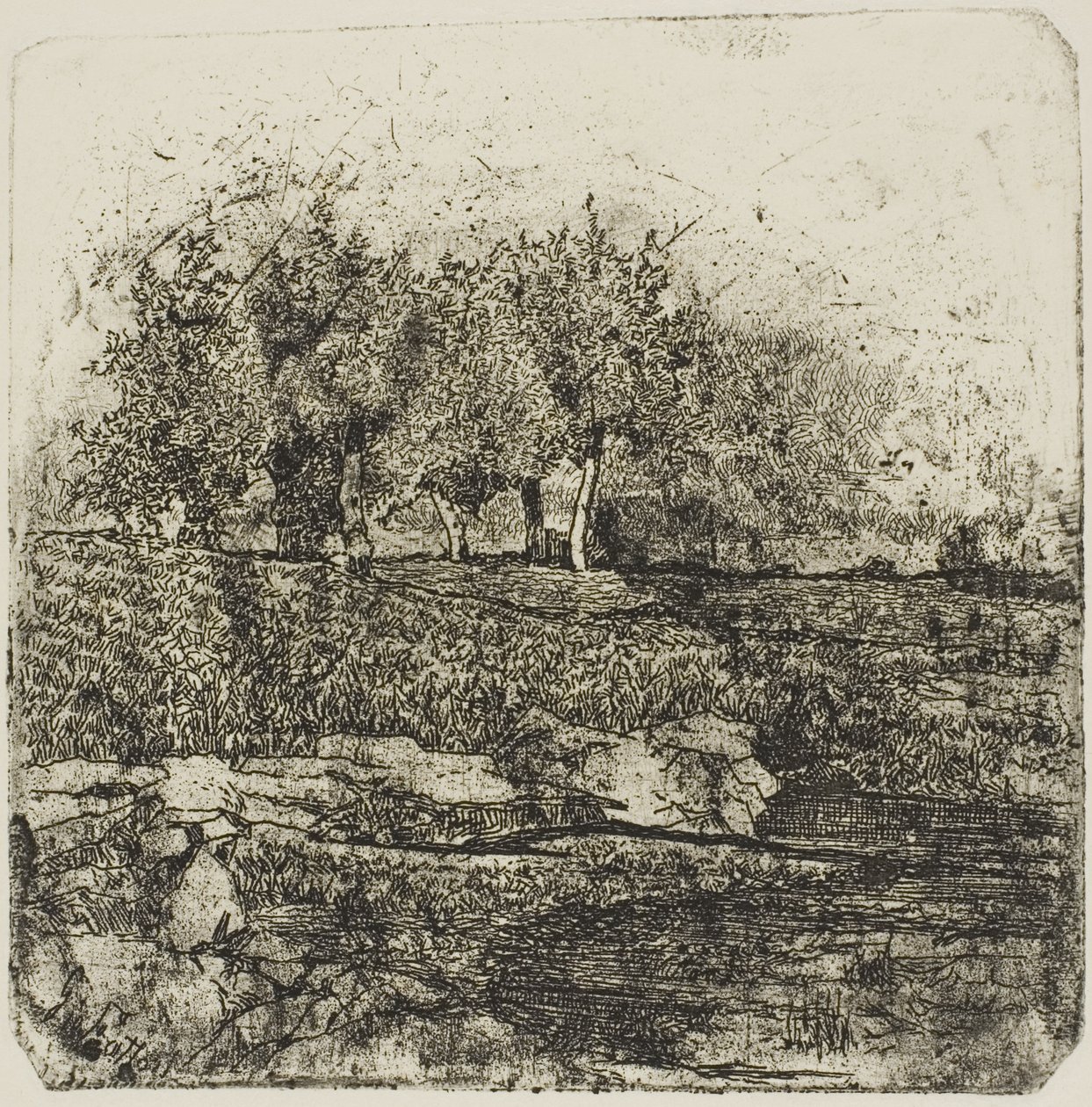 Trees in a Meadow by Giovanni Fattori
