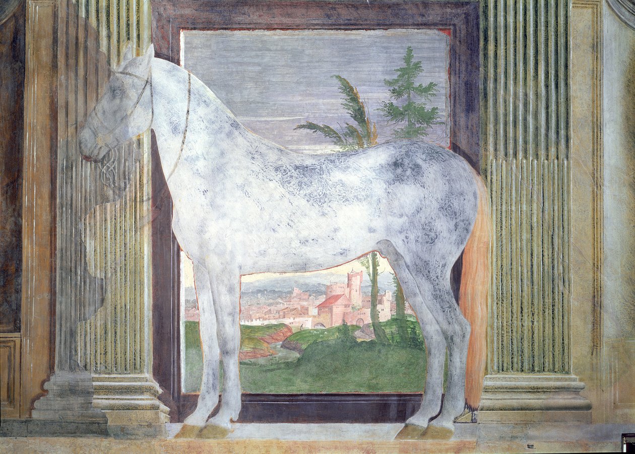 Sala dei Cavalli (detail) by Giulio Romano