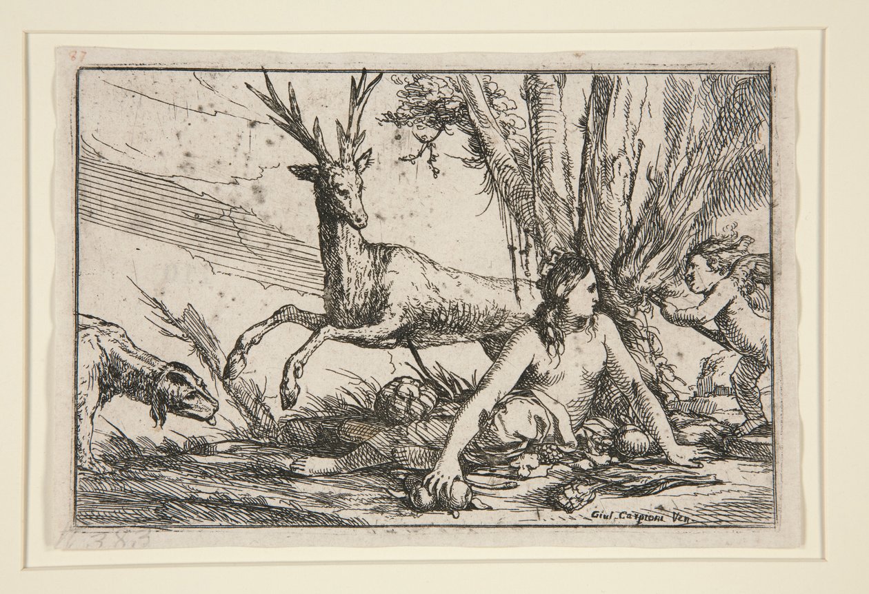 The Earth, from The Four Elements by Giulio Carpioni