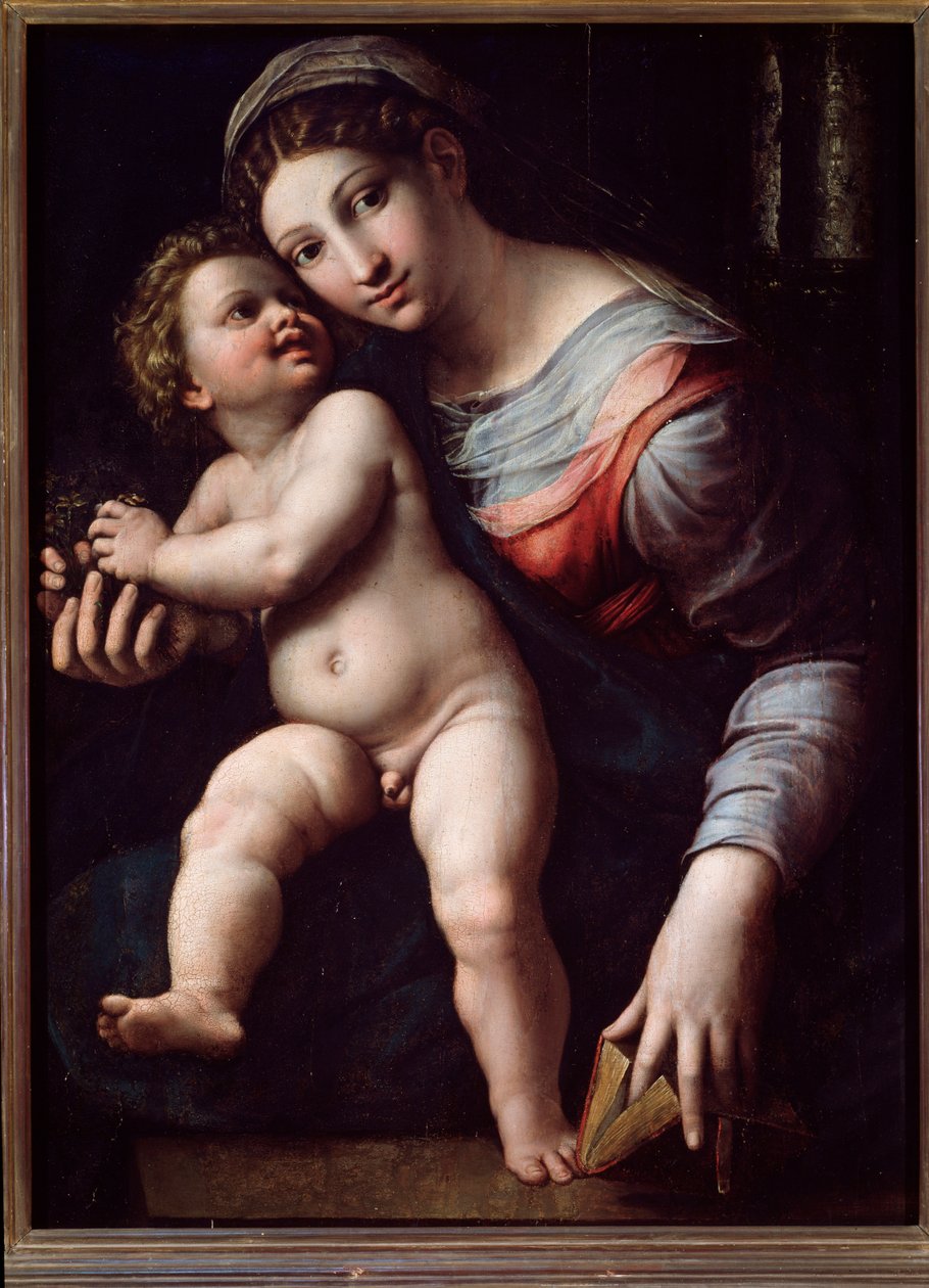 Virgin and Child by Giulio Romano