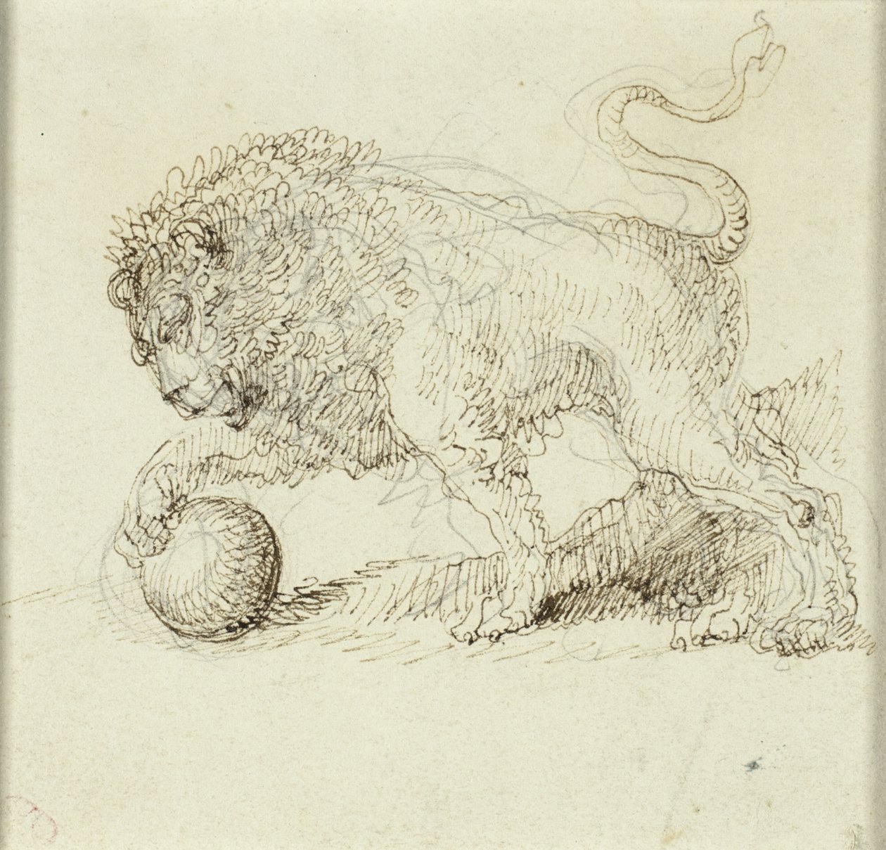 Lion with Ball by Giuseppe Bernardino Bison