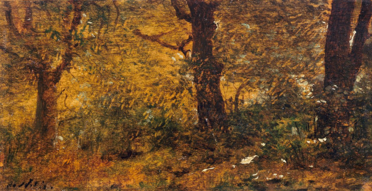 Study of Wood by Giuseppe or Joseph de Nittis