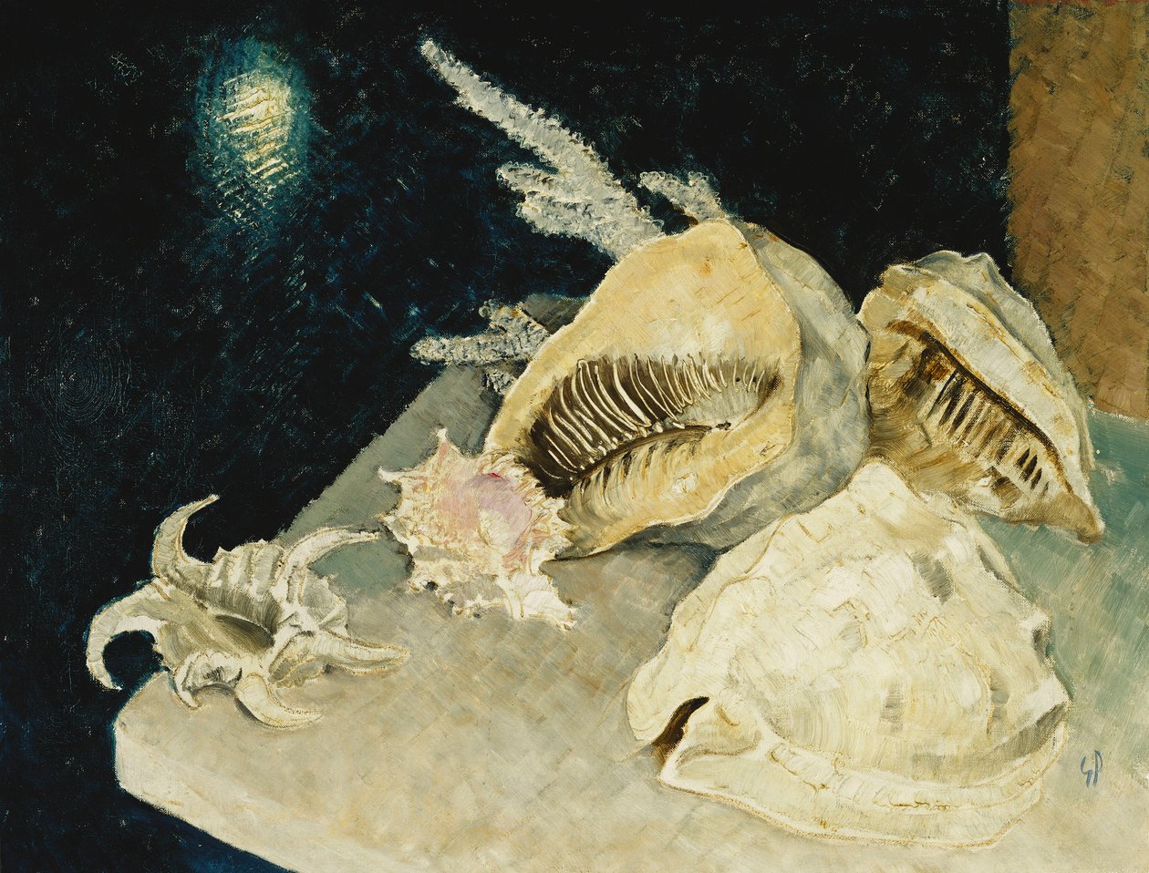 Shells by Glyn Warren Philpot