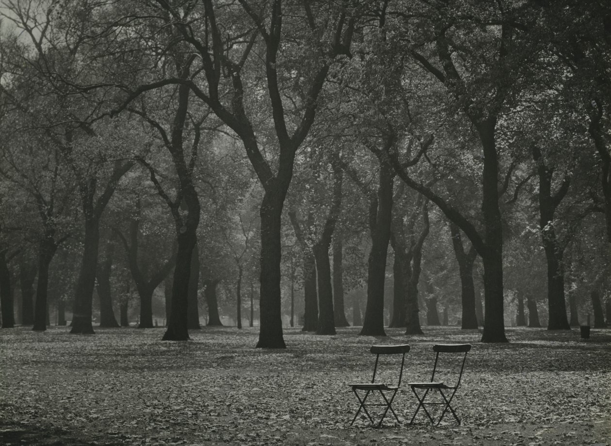 Autumn trees in Hyde Park, London by Godfrey Macdominic