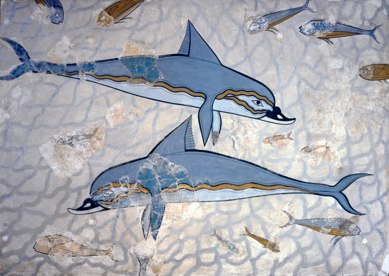 Dolphins by Greek