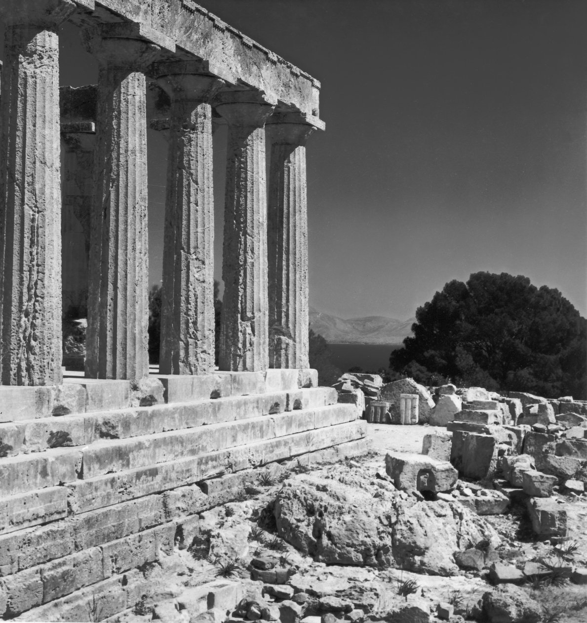 Temple of Aphaea by Greek