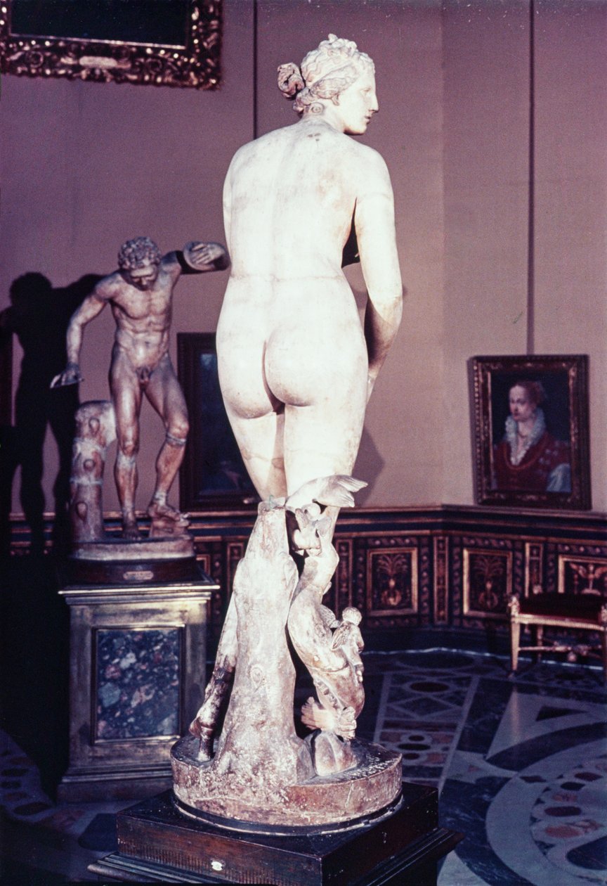 The Medici Venus by Greek