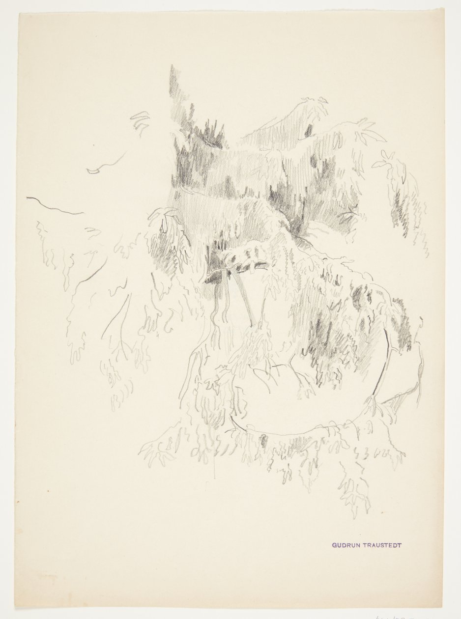 Study of Branches by Gudrun Traustedt
